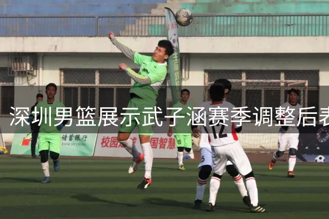深圳男篮展示武子涵赛季调整后表现集锦